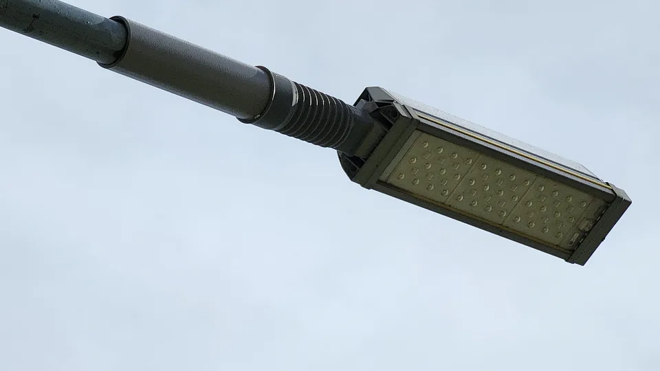 Фото: МедиаБанк Подмосковья/Екатерина Данилина