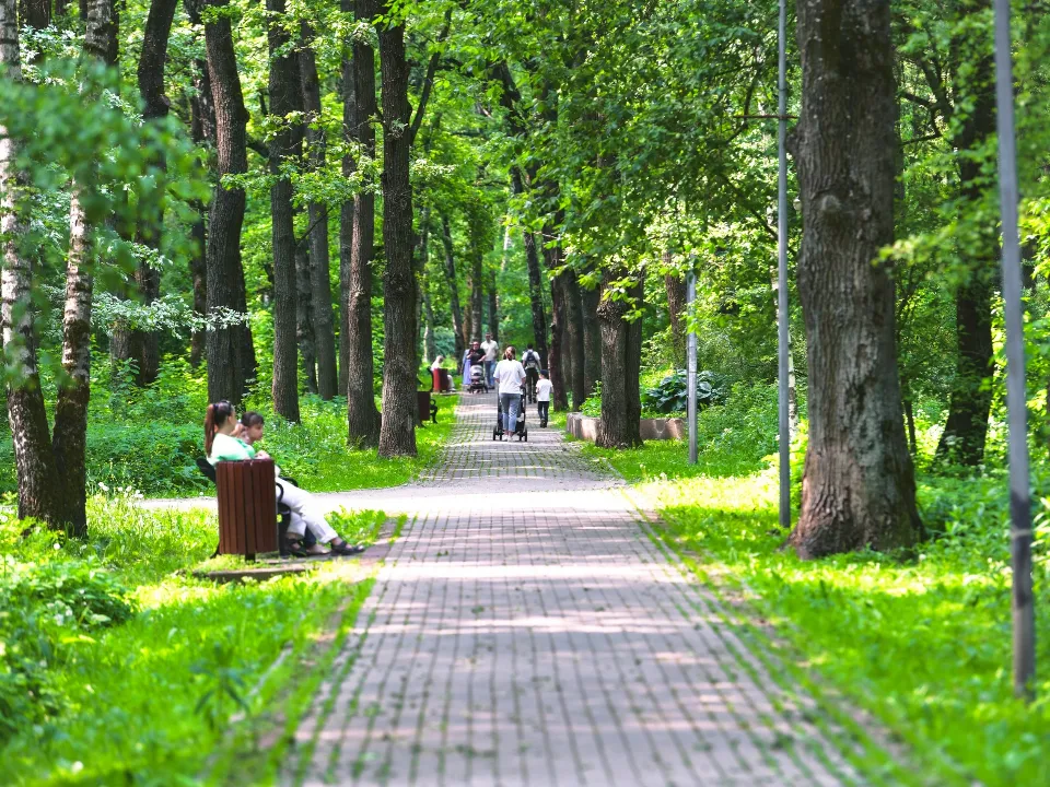 Фото: пресс-служба администрации г.о. Химки