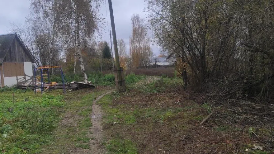 Фото: администрация г.о. Шаховская