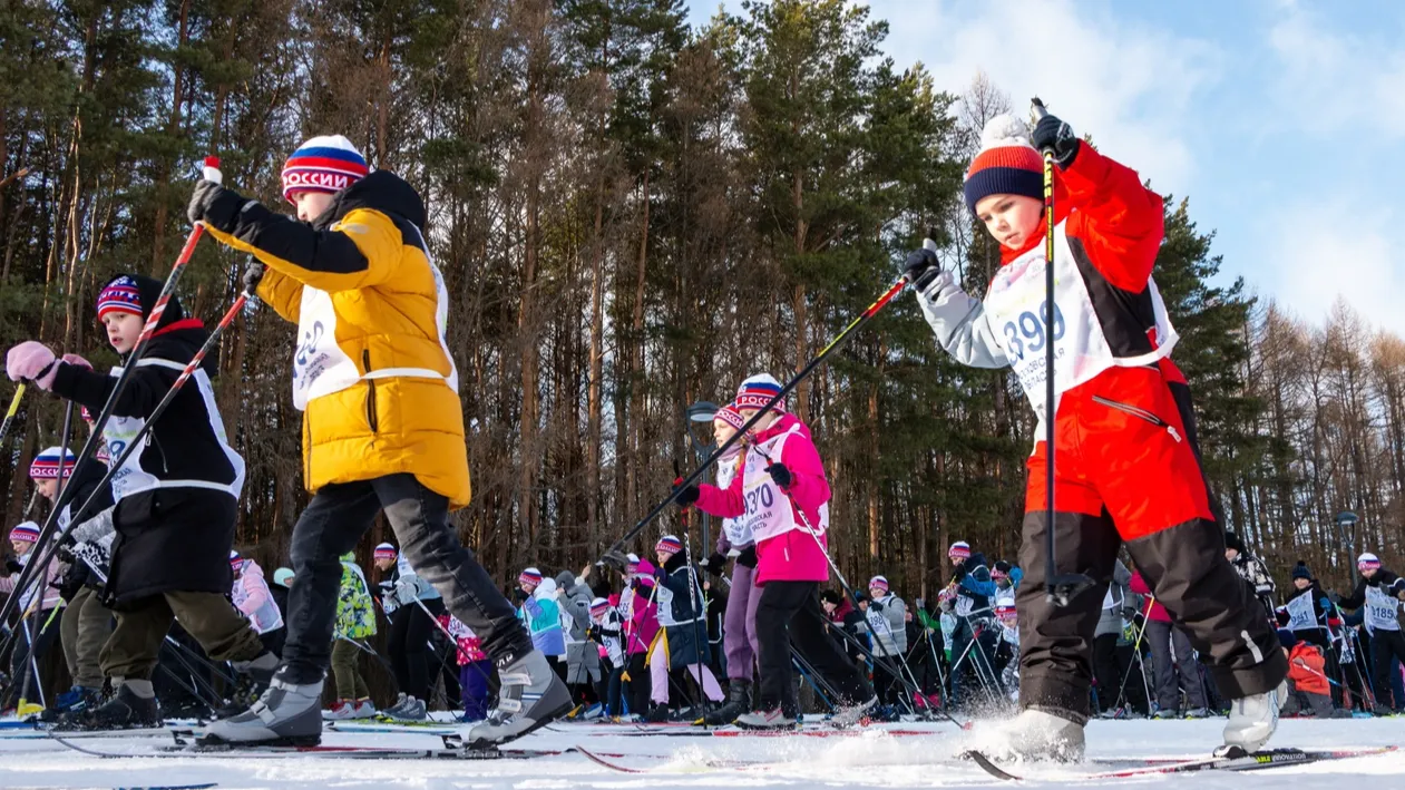 Фото: пресс-служба администрации г.о. Зарайск (архив)