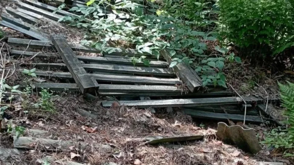 Фото: Министерство экологии и природопользования Московской области