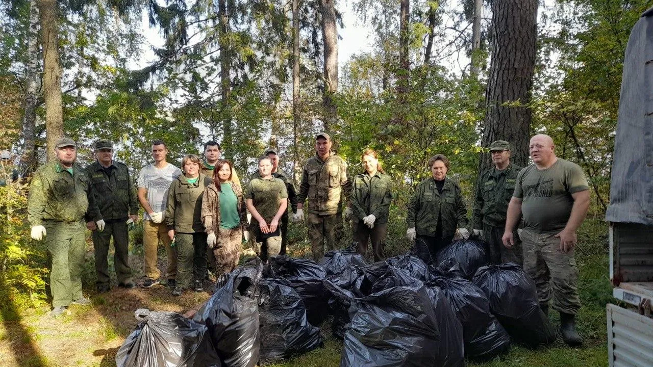Фото: Комитет лесного хозяйства Московской области