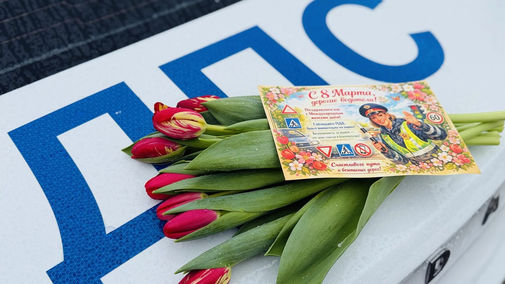 МедиаБанк Подмосковья/Ольга Стаферова