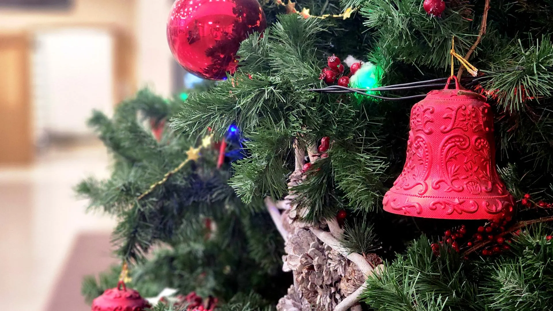 Фото: REGIONS/Полина Пахомова