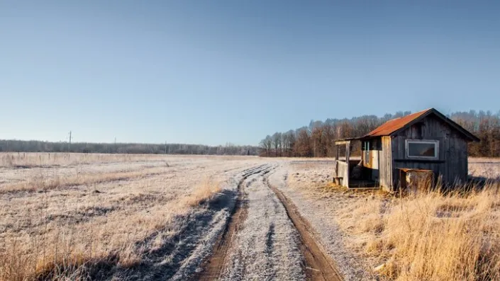 Фото: freepik.com