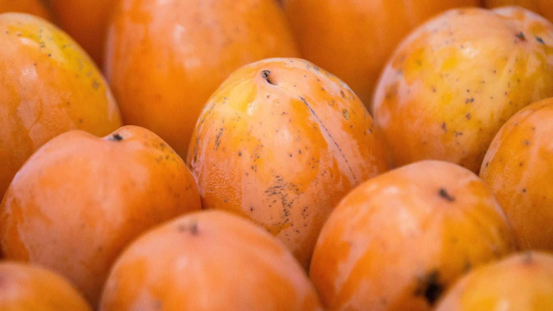 Ilya Moskovets/URA.RU