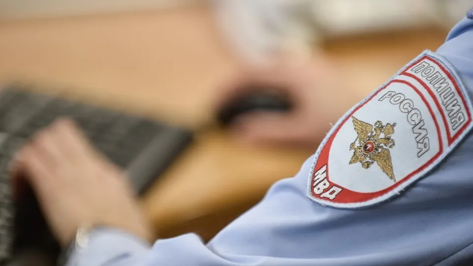 Фото: Медиасток Подмосковья/Николай Корешков