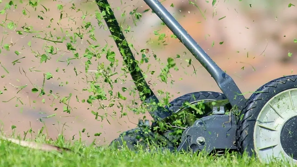 Фото: pxhere.com