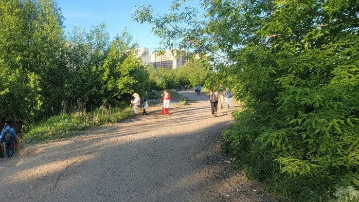 Фото: t.me/samolet_feed