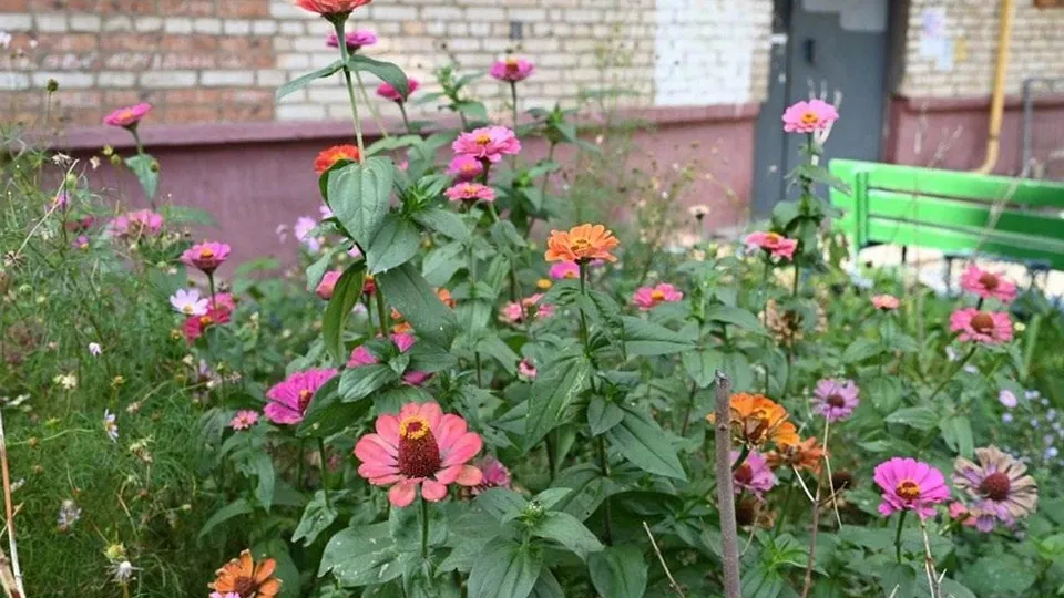 Фото: пресс-служба Администрации г.о. Серпухов