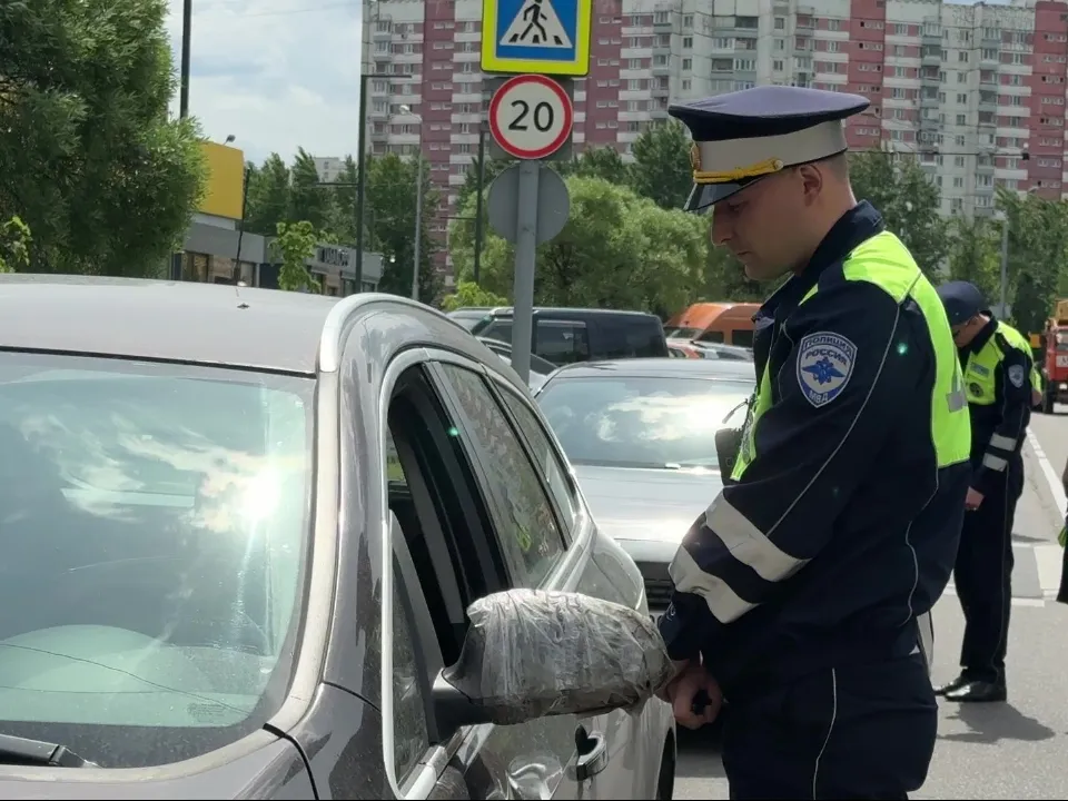 Фото: МедиаБанк Подмосковья/Ксения Казакова