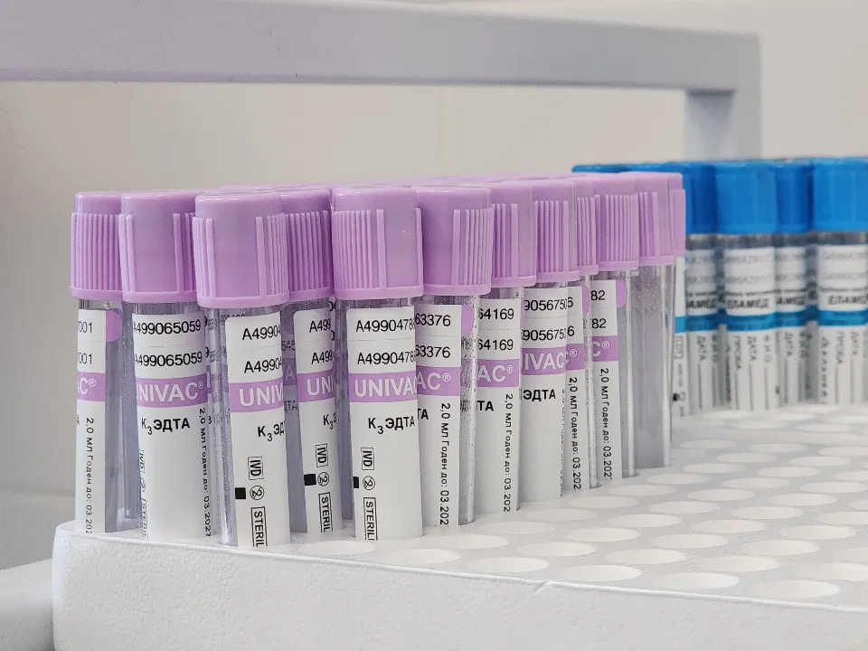 Фото: МедиаБанк Подмосковья/Валерия Тингаева