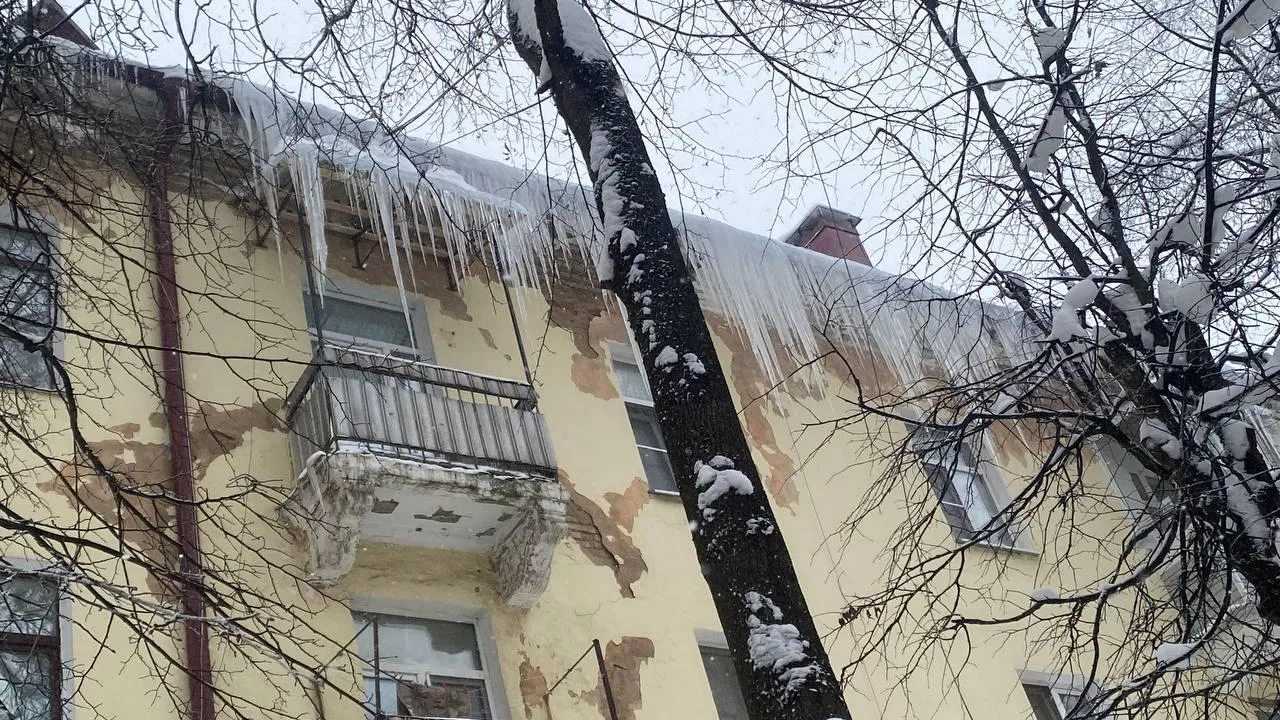 Фото: Анна Артюшина