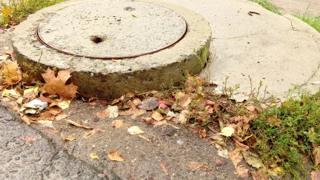 Фото: REGIONS/Василий Тремасов