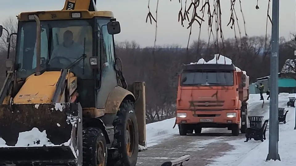 Фото: МедиаБанк Подмосковья/Марина Анисимова