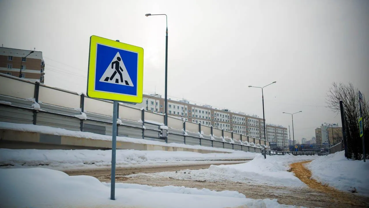 REGIONS/Сергей Шешин