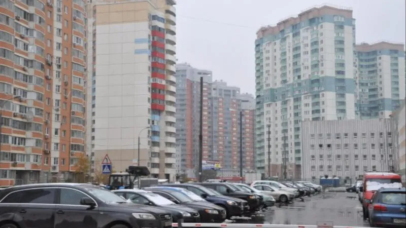 Сергей Белянин / Подмосковье сегодня
