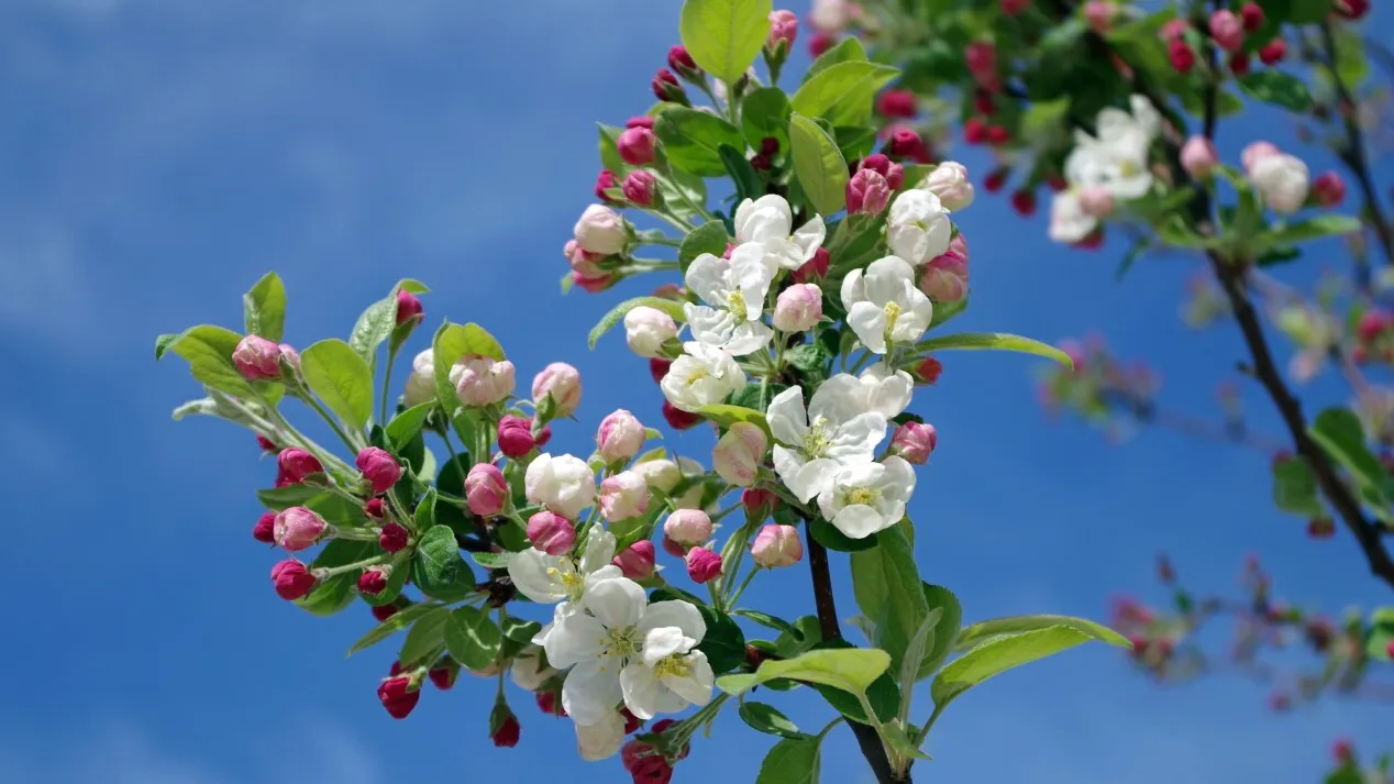 Фото: pxhere.com