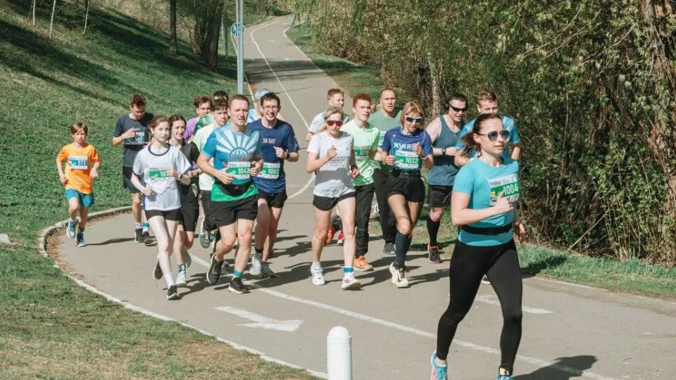 Фото: Раменский медиацентр