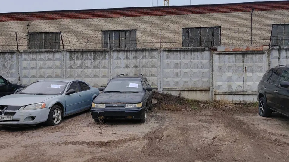 Фото: Администрация г.о. Реутов