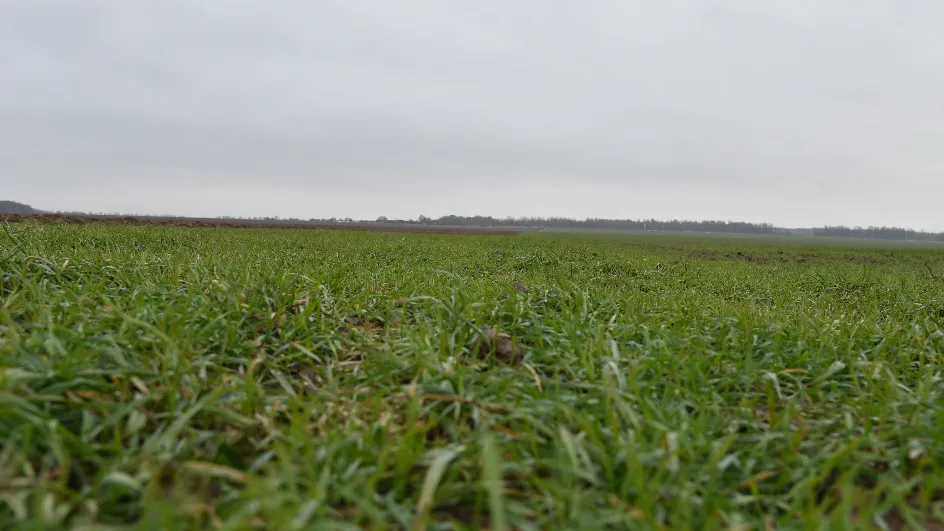 Фото: Медиабанк МО / Владимир Останин