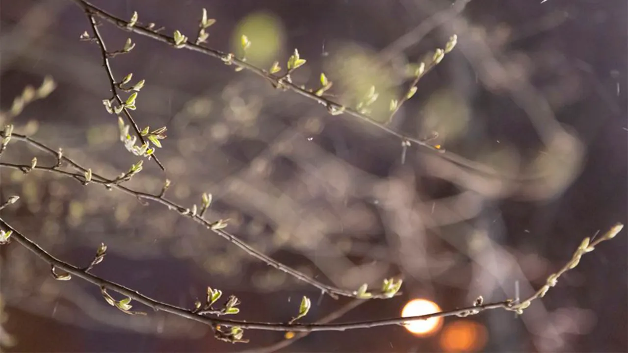 REGIONS/Владимир Ерастов