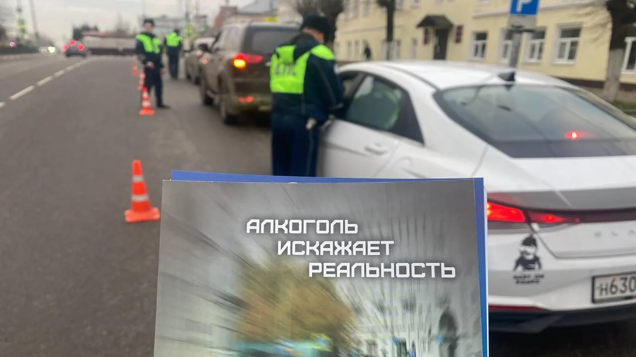 Источник: пресс-служба ГИБДД по городскому округу Павловский Посад