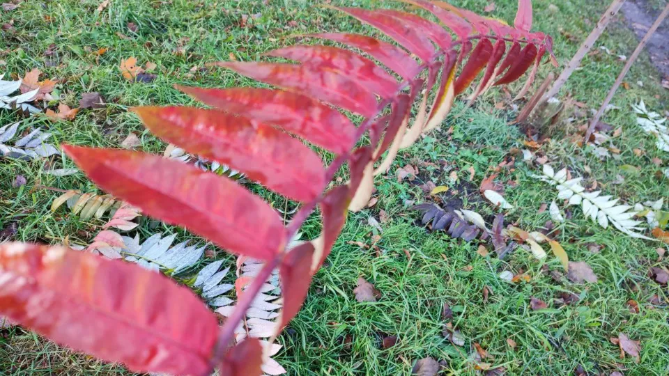 Фото: REGIONS/Елена Забелина