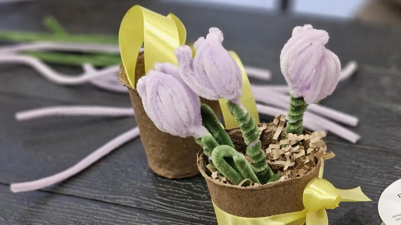 МедиаБанк Подмосковья/Ольга Вельшикаева