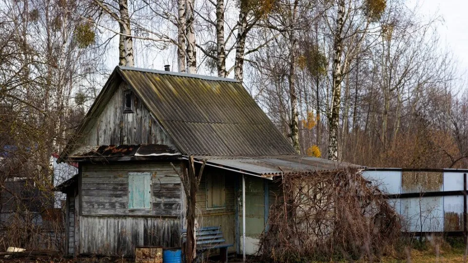 Фото: freepik.com