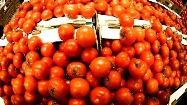 Владимир Астапкович / РИА Новости