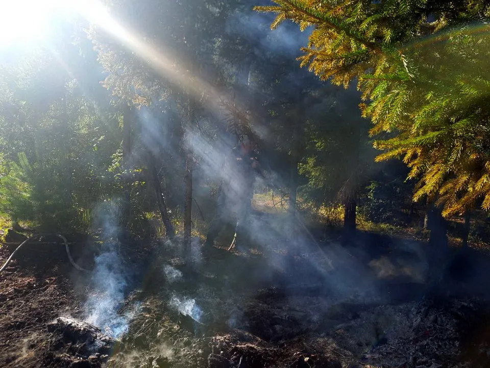 Фото: Комлесхоз МО