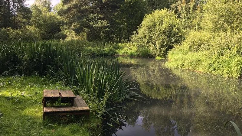 Волонтеры ищут единомышленников для спасения реки Скалбы