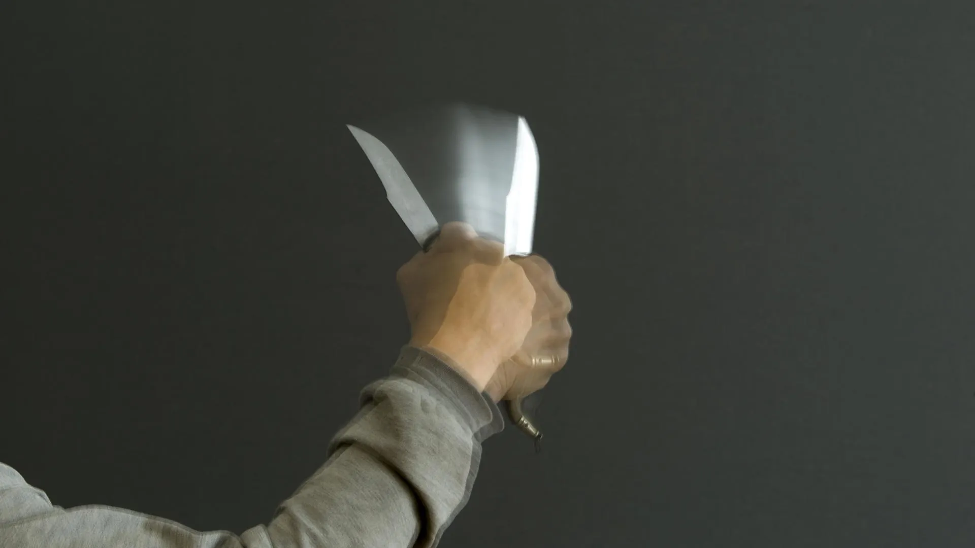 Nikolay Gyngazov/Global Look Press