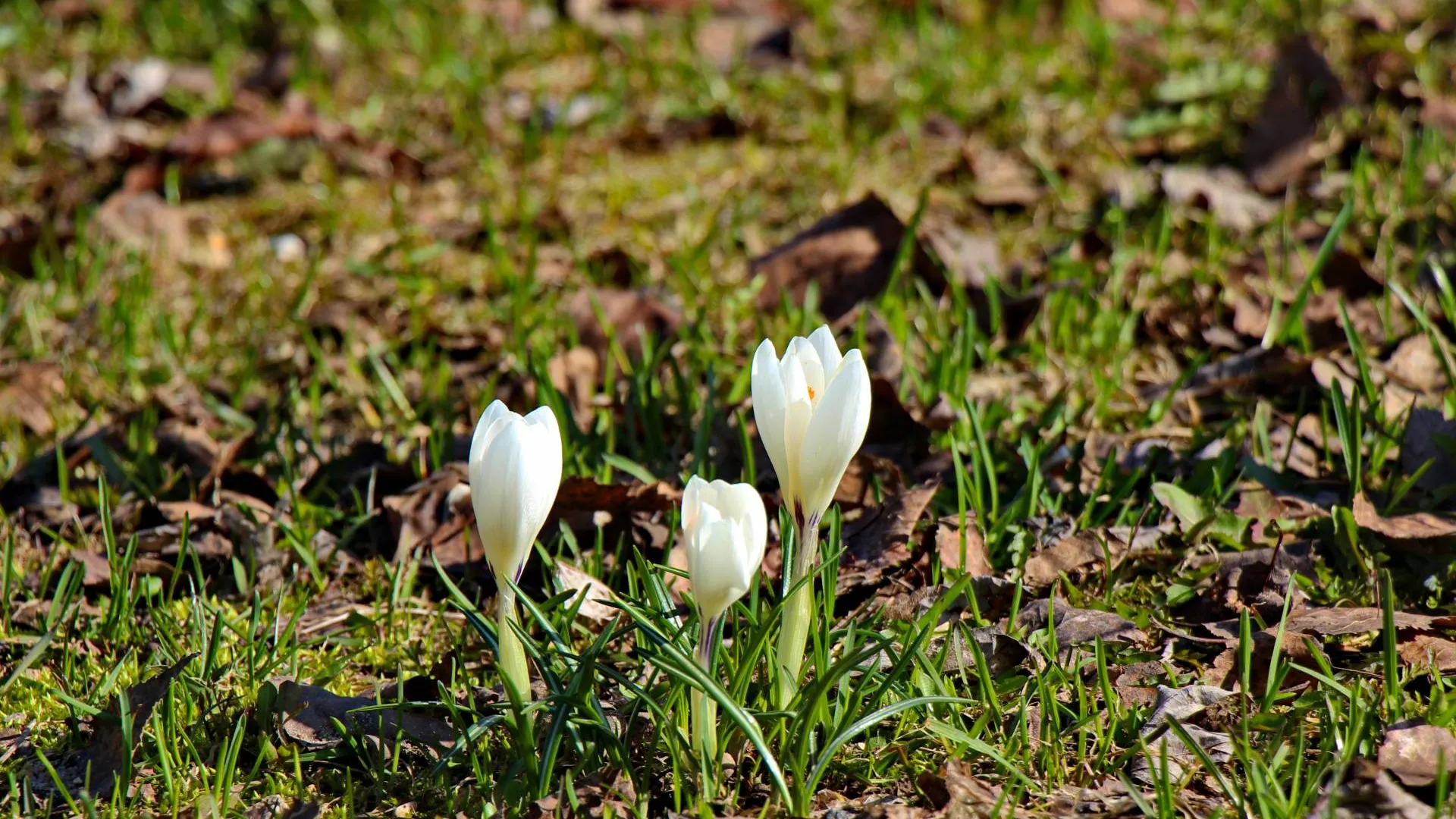 Фото: МедиаБанк Подмосковья/Екатерина Дятловская