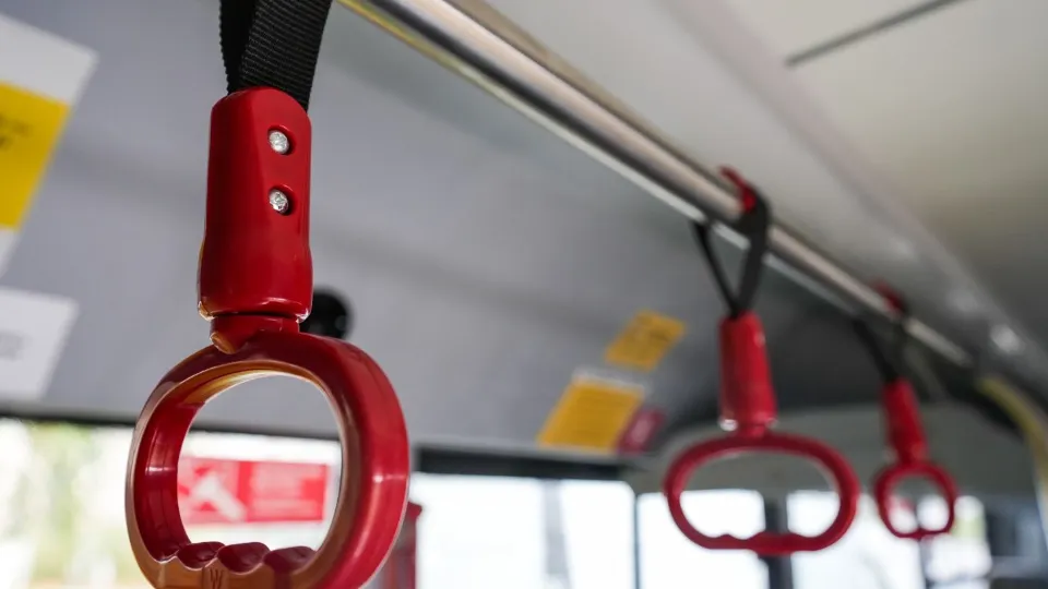 Фото: пресс-служба губернатора и правительства Московской области