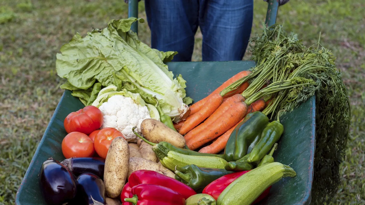 Фото: freepik.com