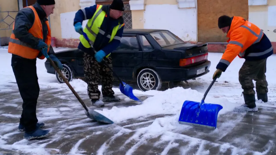 Фото: МедиаБанк Подмосковья/Светлана Плотникова