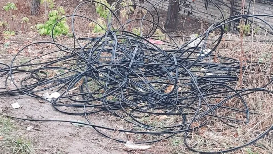 Фото: Светлана Васильева