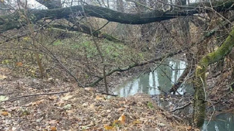 Минэкологии МО.