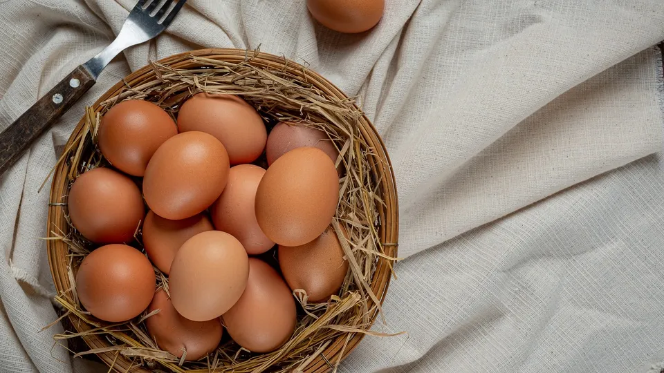 Фото: freepik.com