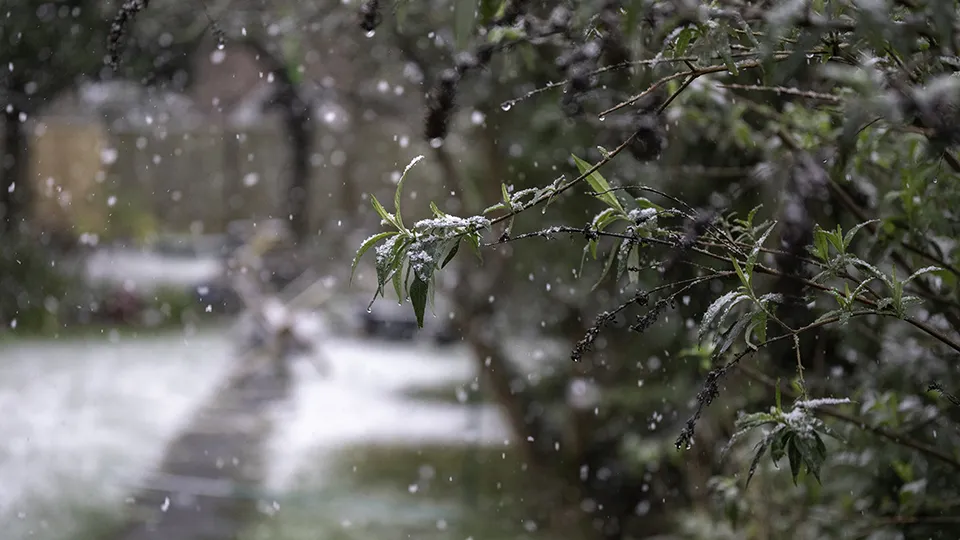 Фото: freepik.com