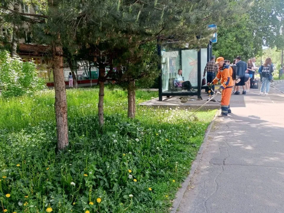 Фото: пресс-служба администрации г.о. Люберцы