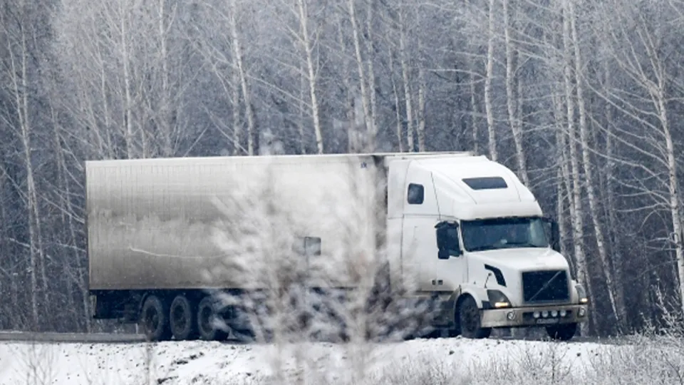 Фото: РИА Новости/Александр Кряжев