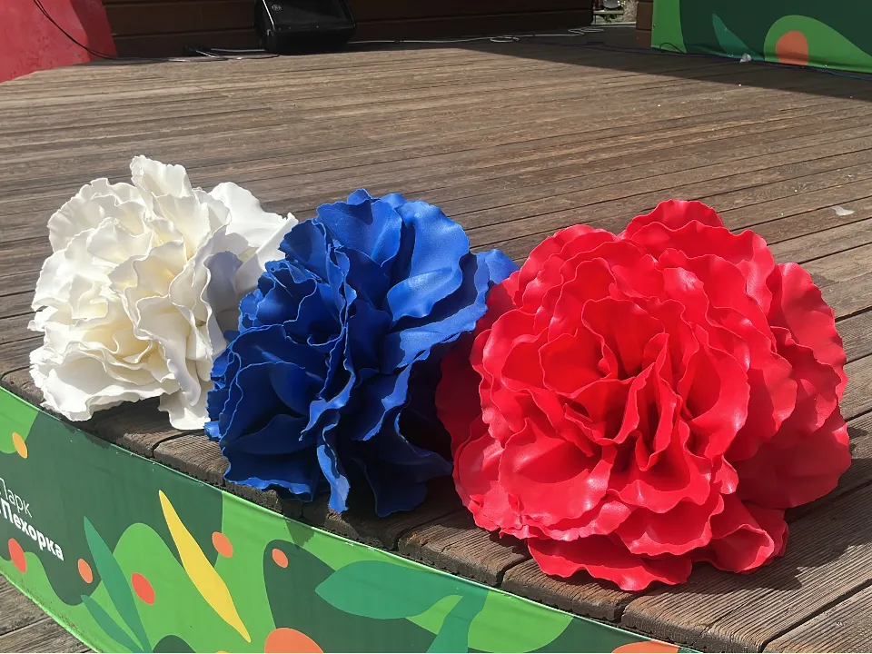 Фото: МедиаБанк Подмосковья/ Елизавета Приймак