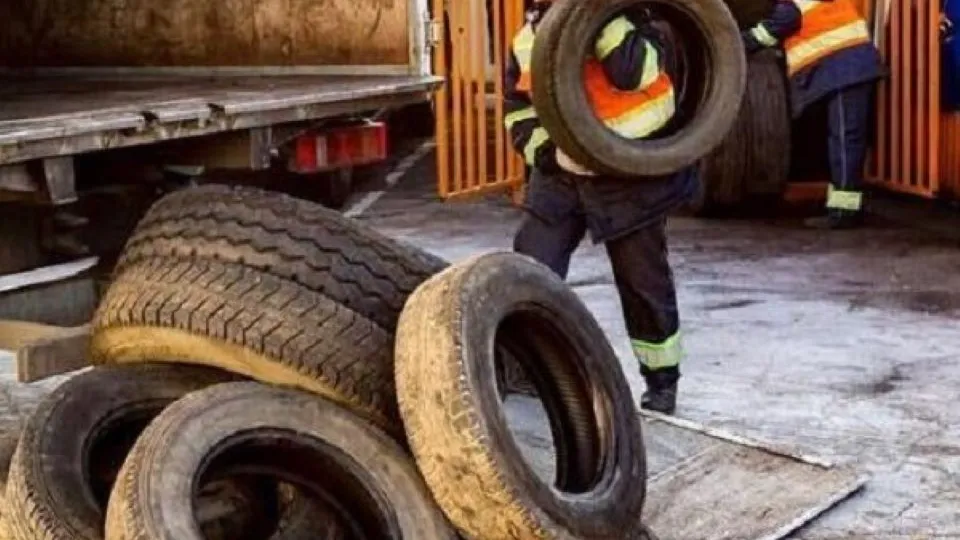 Фото: Министерство экологии и природопользования Московской области