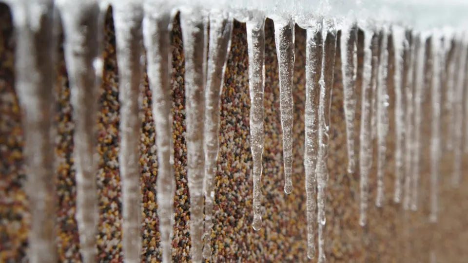 Фото: pxhere.com