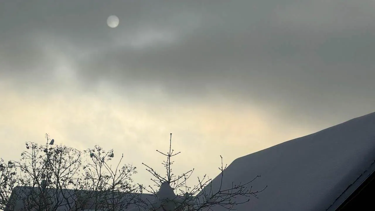 REGIONS/Анастасия Малышенко