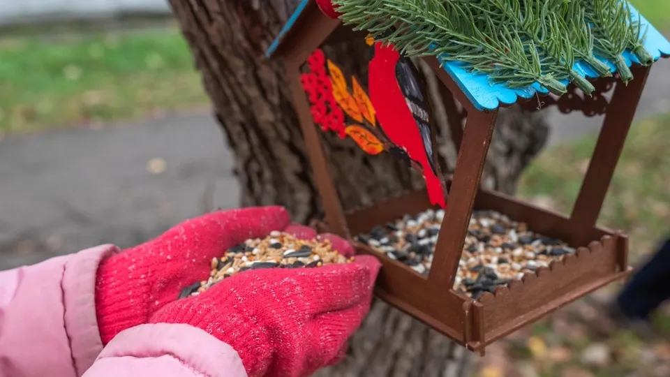 Фото: администрация г.о. Реутов