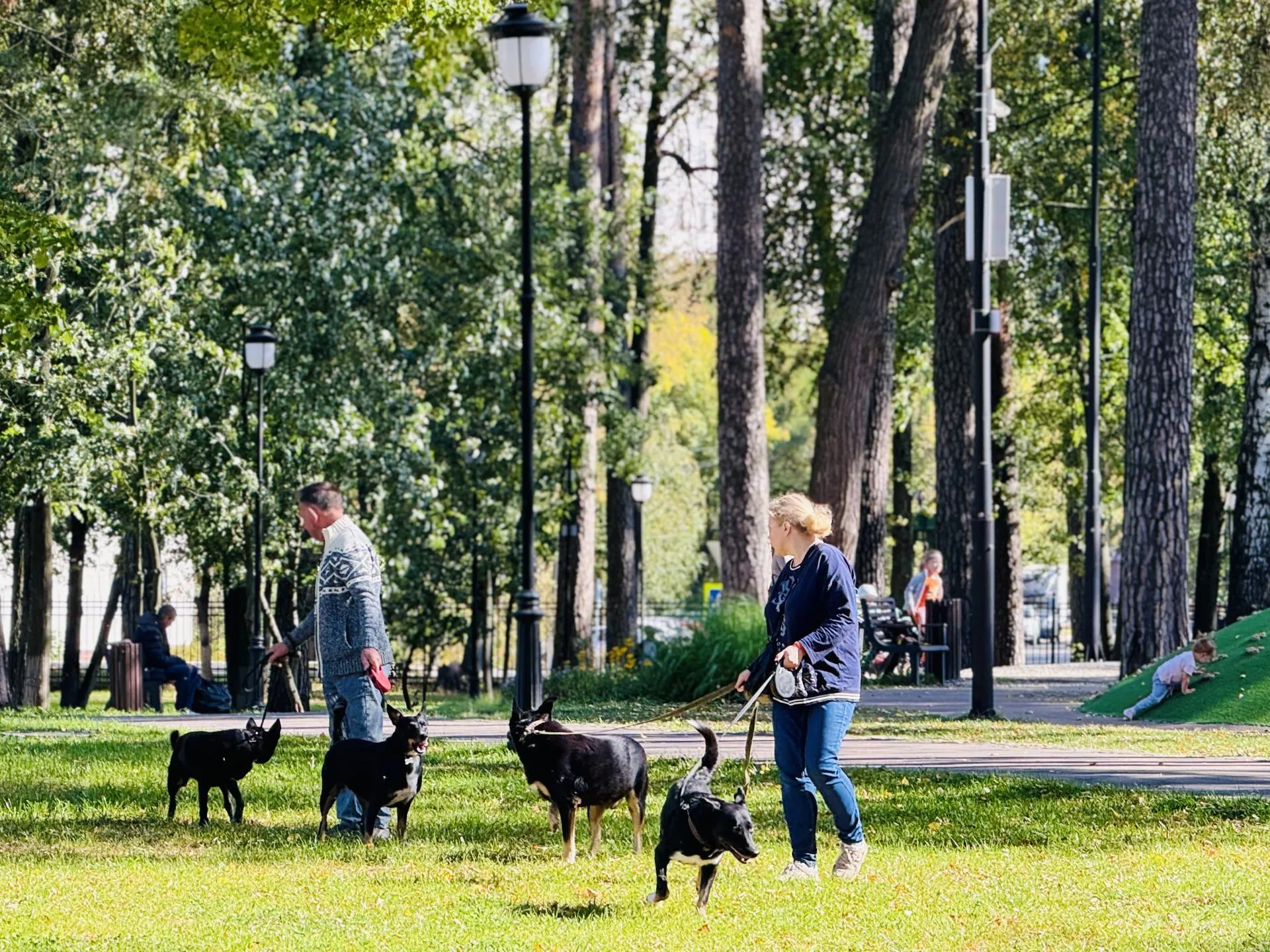 Фото: Медиабанк Подмосковья/Ольга Стаферова